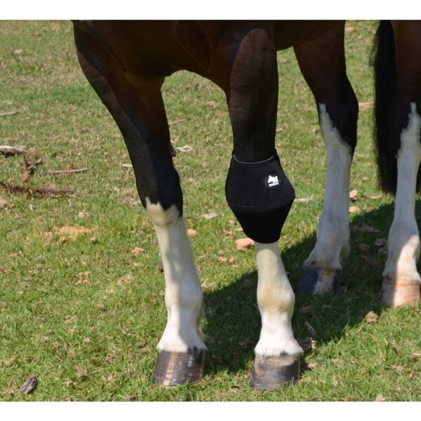 Joelheira Premium para Cavalo