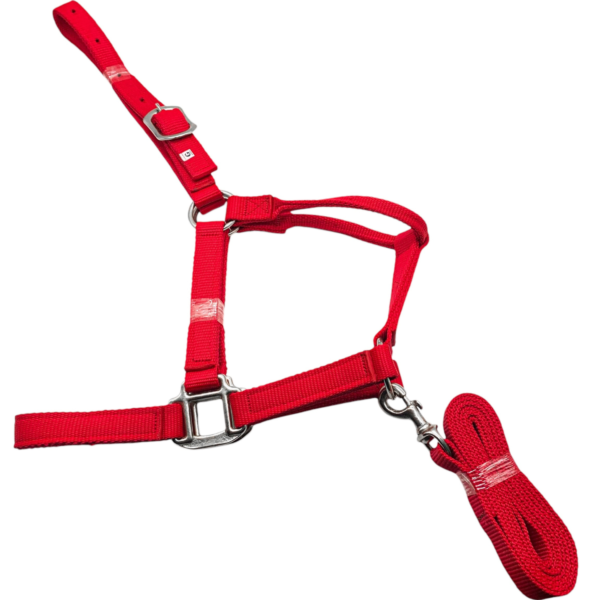 Cabresto de Nylon Fita Vermelha