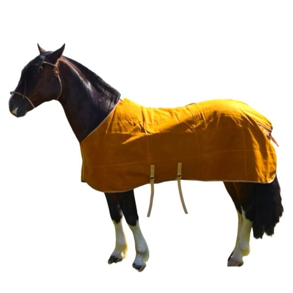 Capa para Cavalo de Lona SD